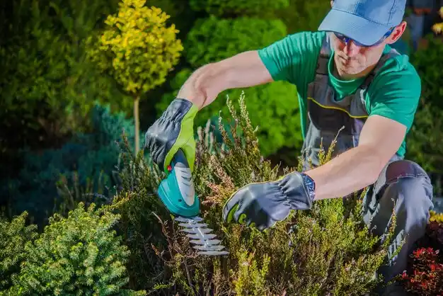 landscaping services Stanton